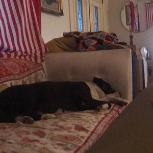 Meet your Posher, Briggs